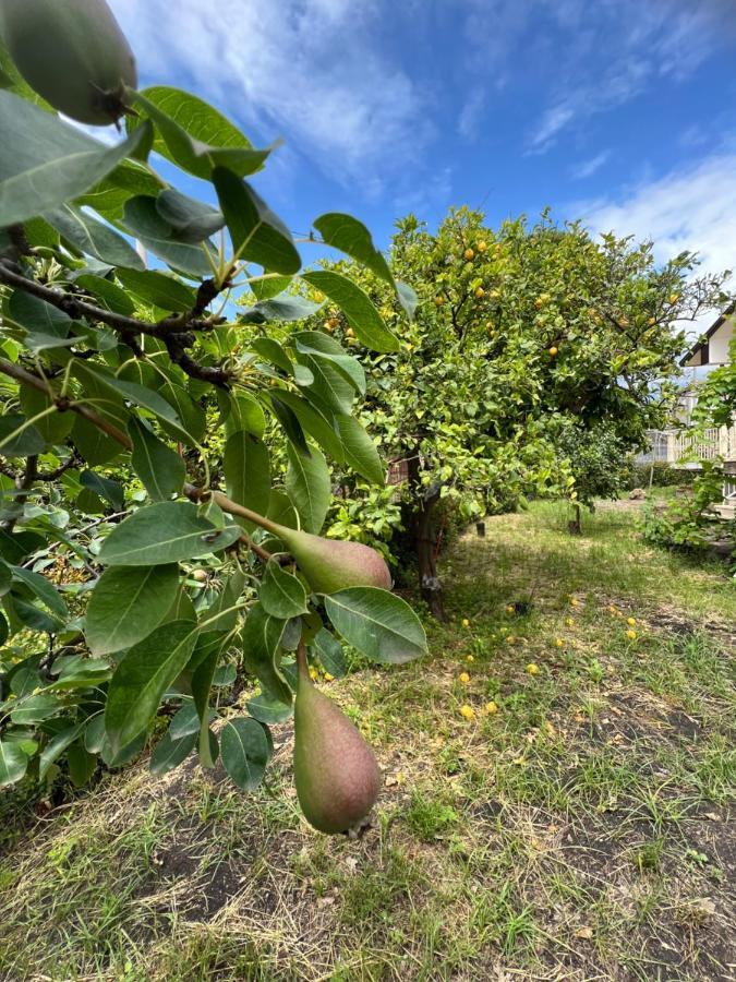 Casa Vacanze "Sautufao" Santa Venerina Eksteriør bilde