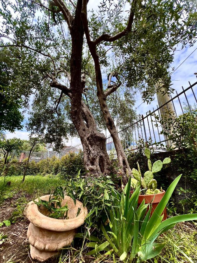 Casa Vacanze "Sautufao" Santa Venerina Eksteriør bilde