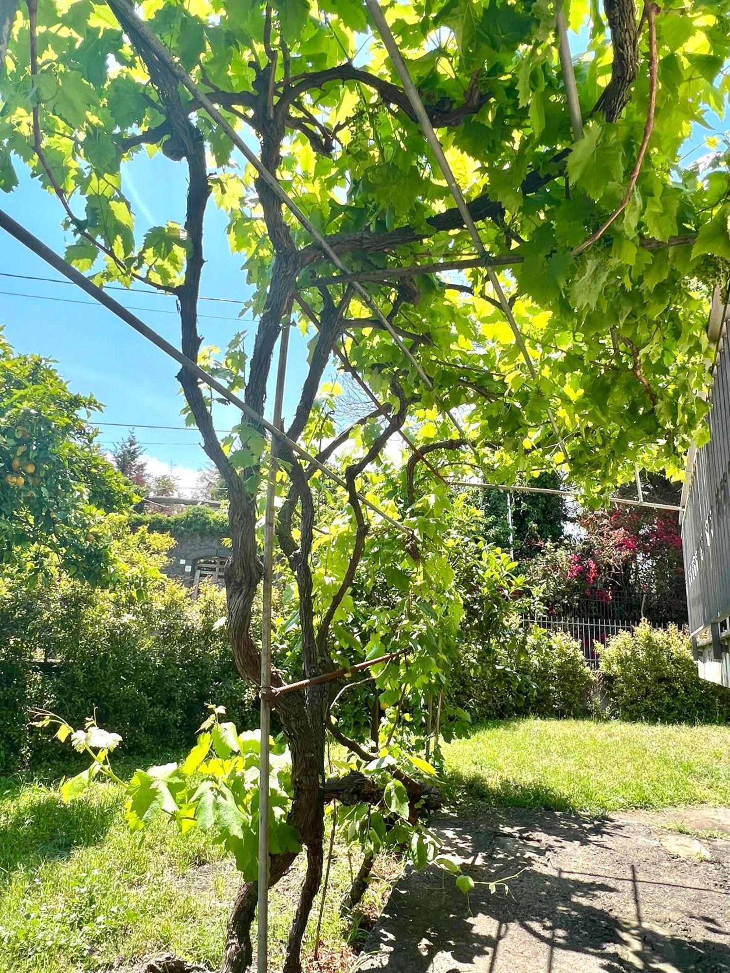 Casa Vacanze "Sautufao" Santa Venerina Eksteriør bilde
